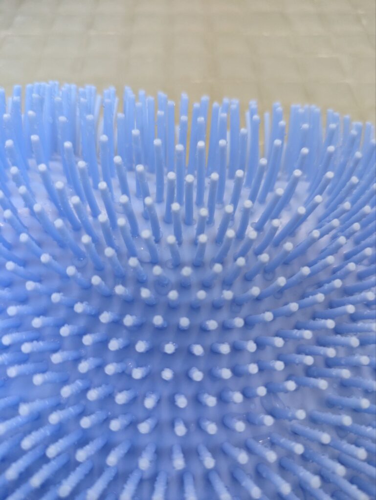 フットブラシのアップ