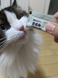 猫がおやつを食べる様子