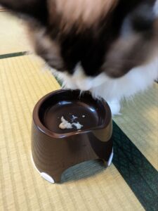 無印良品猫のおやつピューレの中み