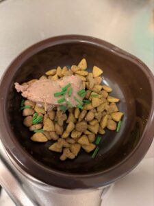 猫ごはん