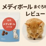 メディボールのアイキャッチ