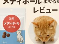 メディボールのアイキャッチ