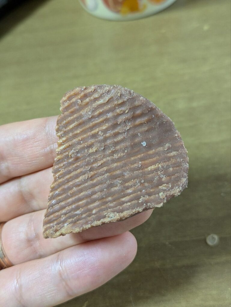 無印のチョコがけポテトチップスの中身