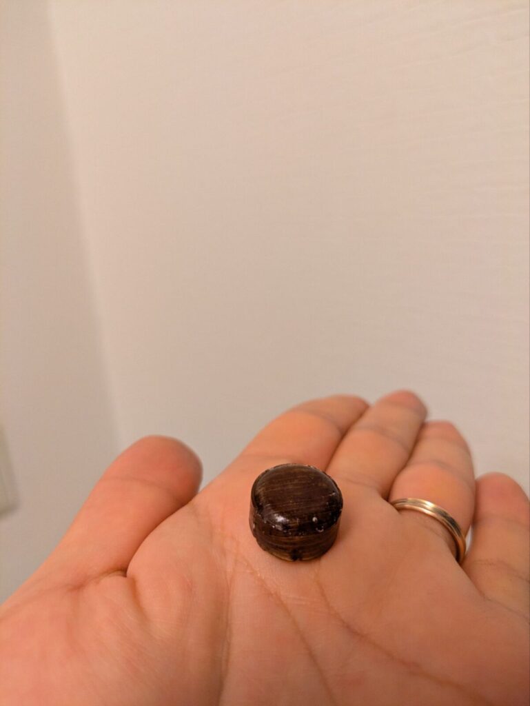 板藍根飴のアップ