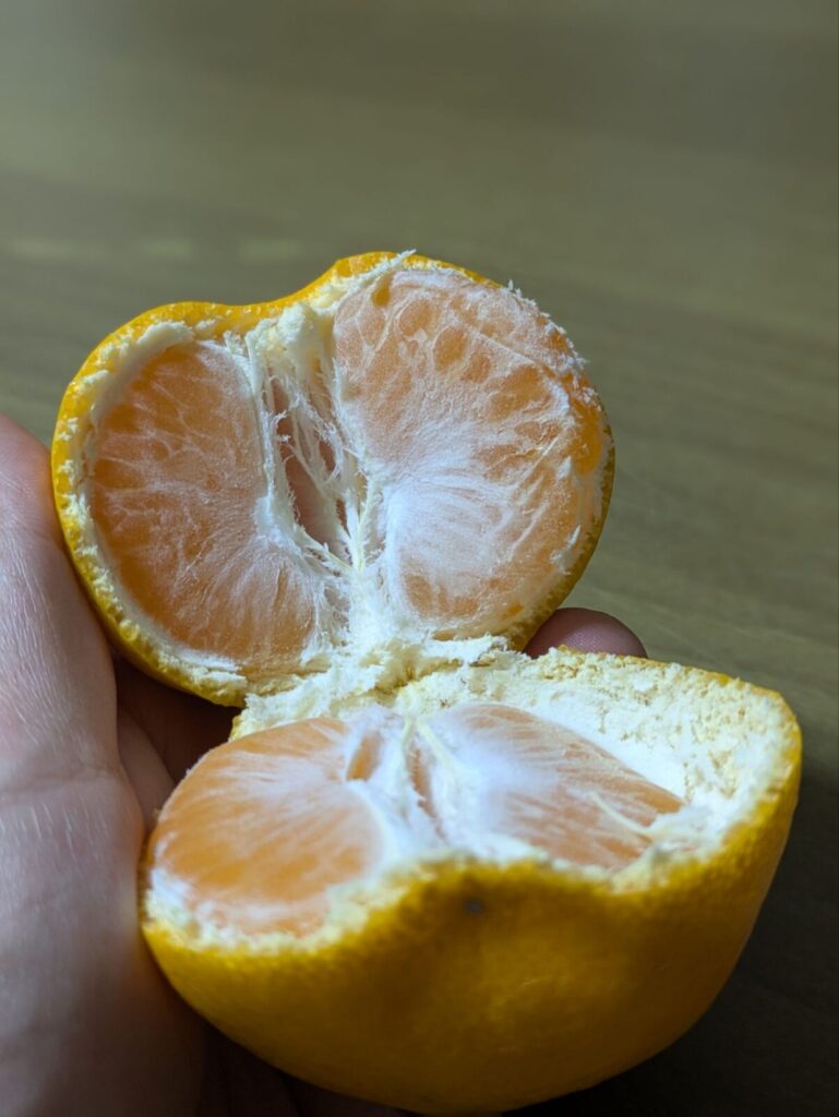 夢未来みかんの薄皮