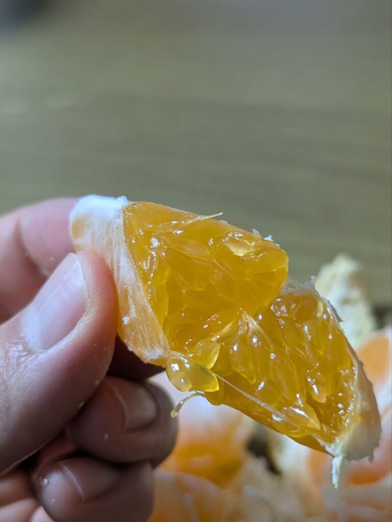 夢未来みかんを割った画像