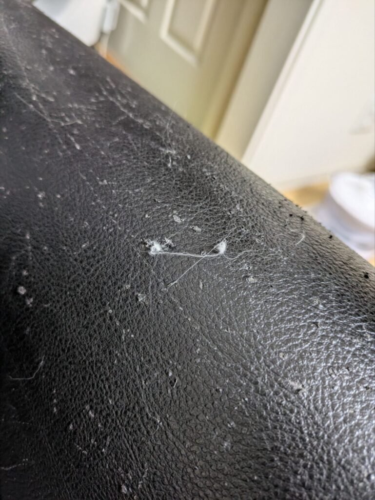 合皮ソファでケト〜ルを使用した様子